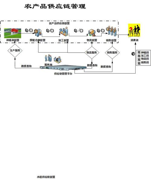 农产品物流与供应链管理 供应链管理服务的核心价值与实践路径